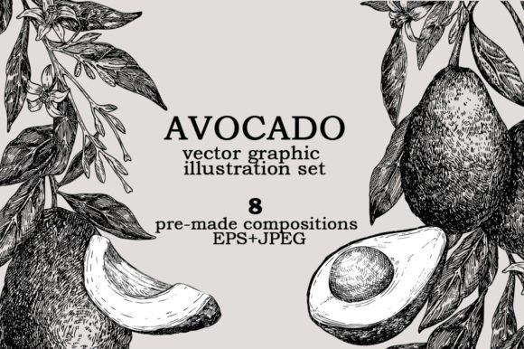 Download Avocado Vector Graphic Illustration Set - Avocado Collection